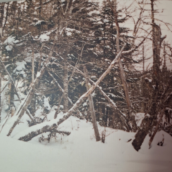 Vintage 1992 Derek Hendsbee "Winter in Lundy" PERMAplaque Art 16"X12" - Picture 8 of 16